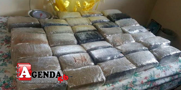 Marihuana-Invivienda