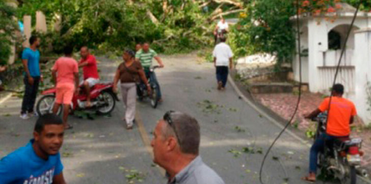 Disturbios-Las-Terrenas