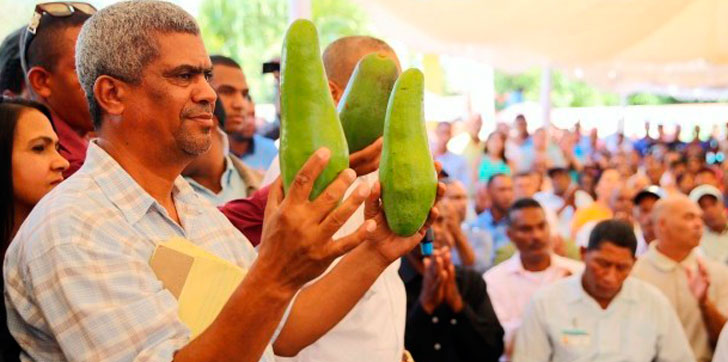 Productores-Aguacate
