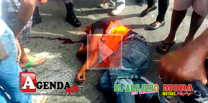 Conchero-atropellado