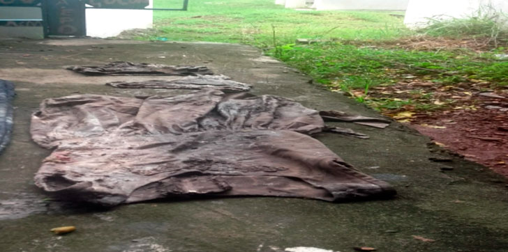 cadaver-nina-san-juan