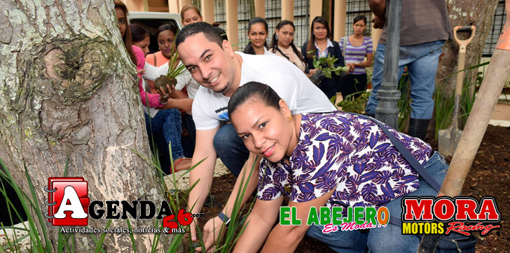 embellecimiento-jardinera-uasd