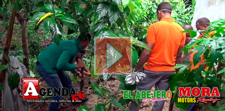 mato-mujer-y-la-entierra