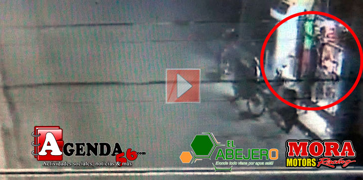 video-asesinato-lince