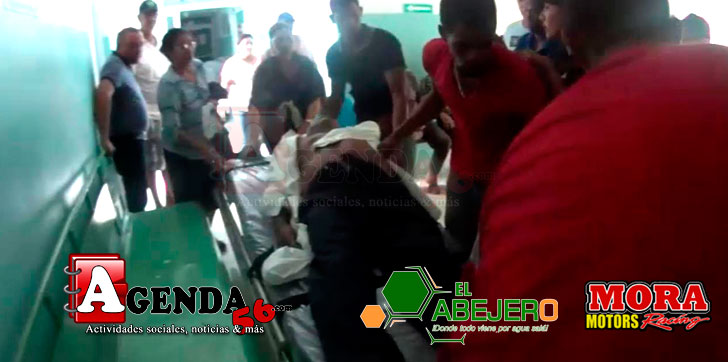 ahogado-trato-salvar-perra