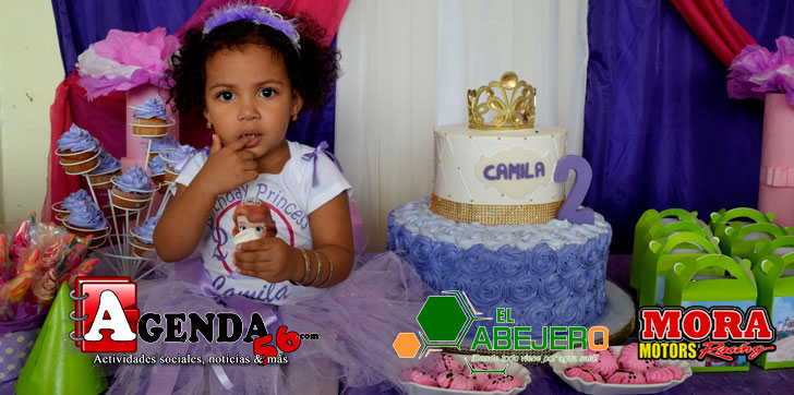 Cumpleaños-Camila-Sanchez-2017