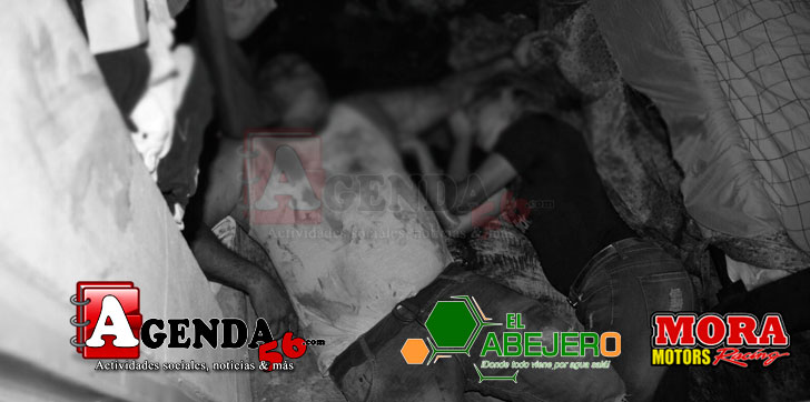 Feminisuicidio-Salcedo