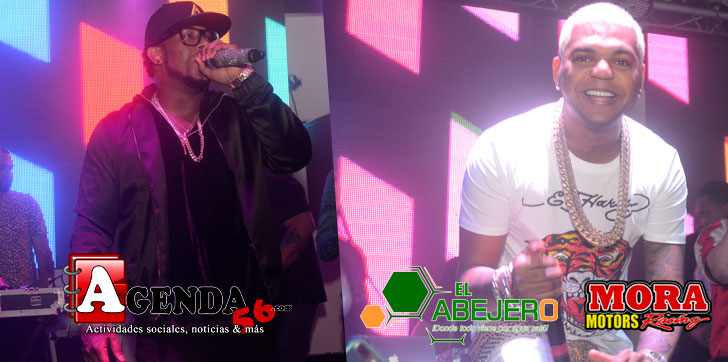 Crazy-Design-El-Mayor