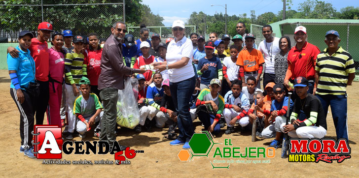 Abejero-entrega-mangas