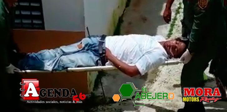 Envenenado-Piña-de-Jaya