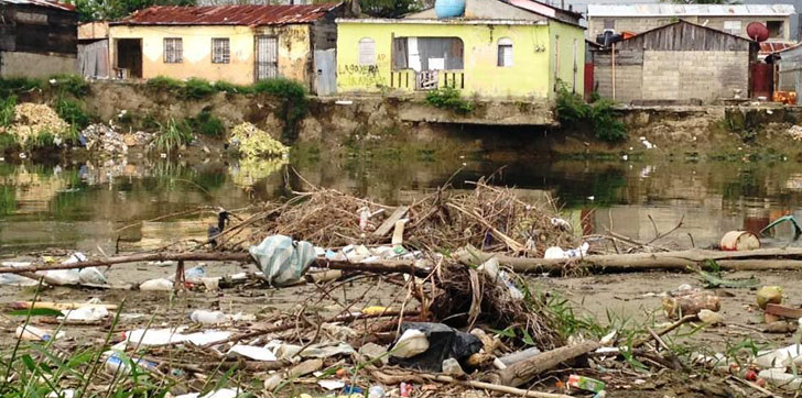 Sector-nuevo-renacer