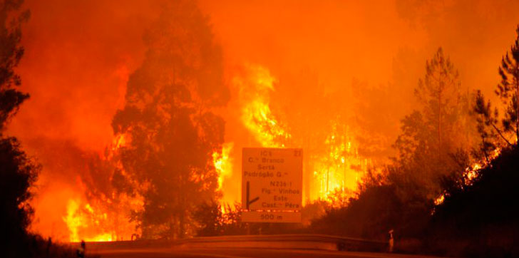 Incendio-portugal1
