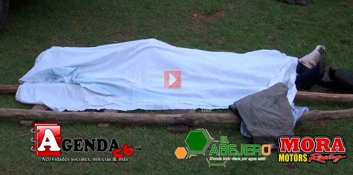 Electrocutado-Mata-Larga