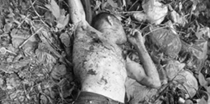 Muerto-Salcedo-matorrales