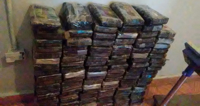 Graga-hallada-en-sabana-de-la-mar