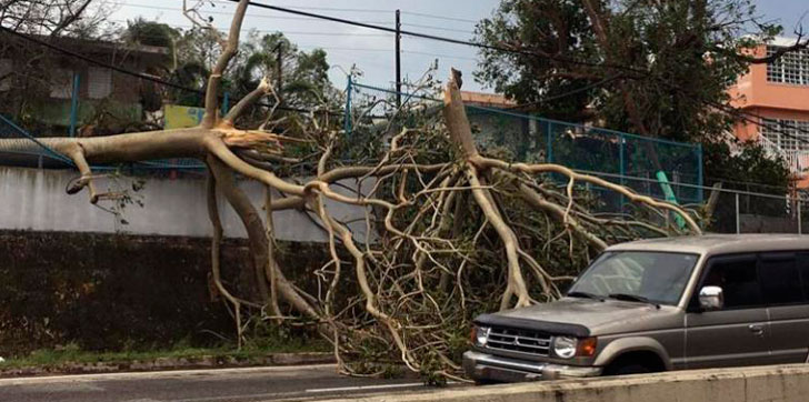 Daños-Puerto-Rico-huracan