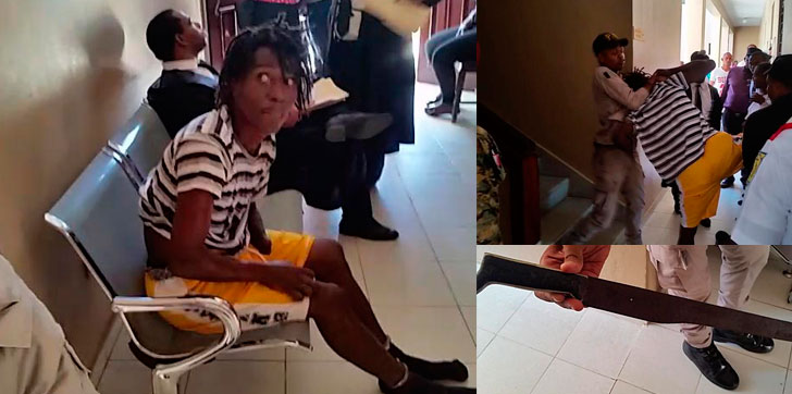 Apresado-palacio-samana