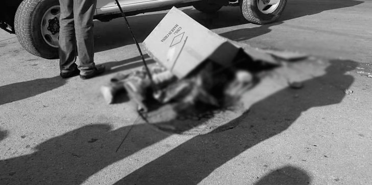 Muerto-accidente-factor