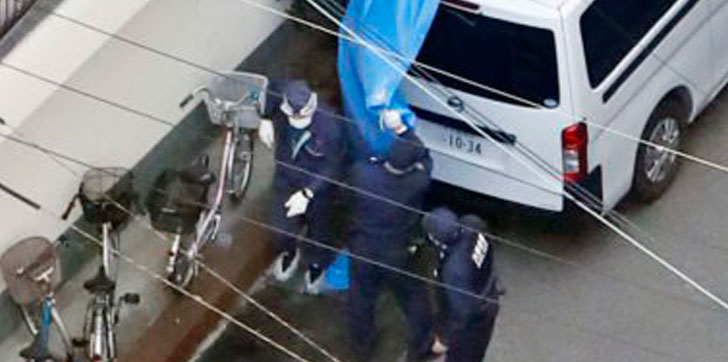 Apresamiento-Japonesa