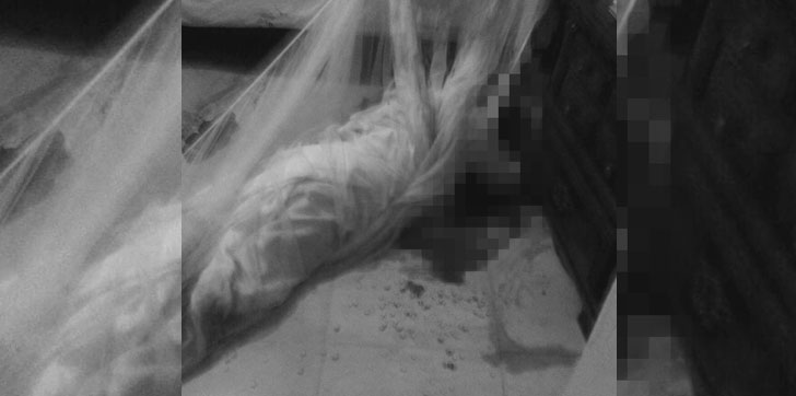 desconocido-mata-pareja