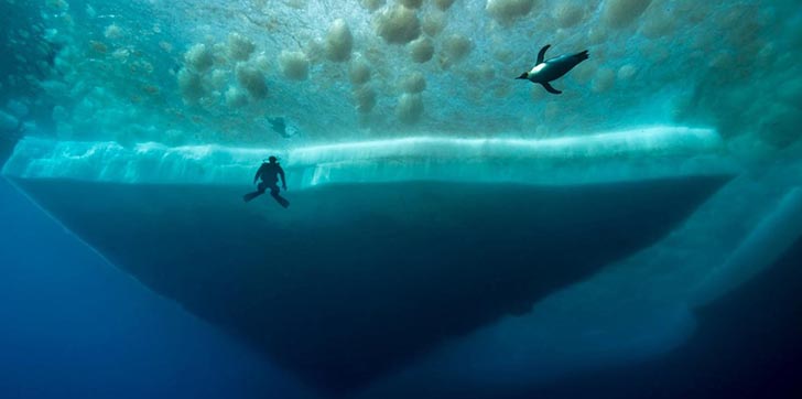 cientificos-muestran-preocupacion