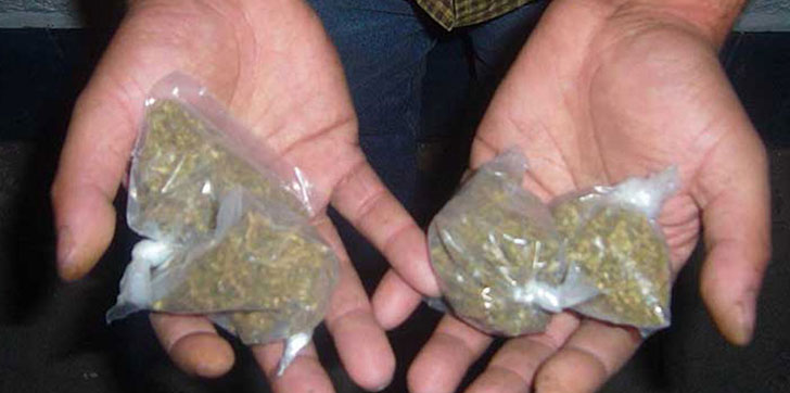 Marihuana-en-bolsitas