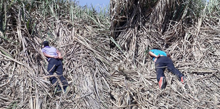 Periodistas-asesinados