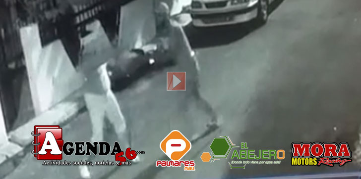 Despojo-celular-mujer