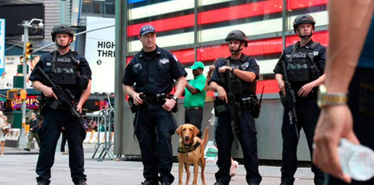 Policia-de-nueva-york
