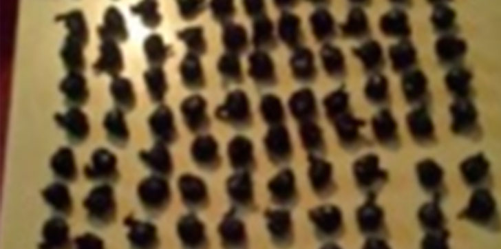 apresa-dos-adolecentes