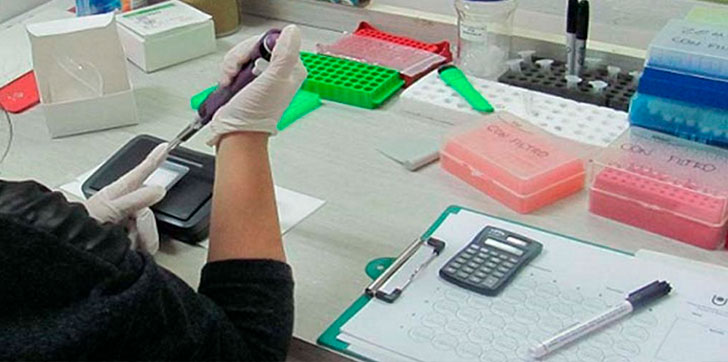 investigadores-buscan-alternativa