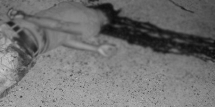 matan-joven-atracando