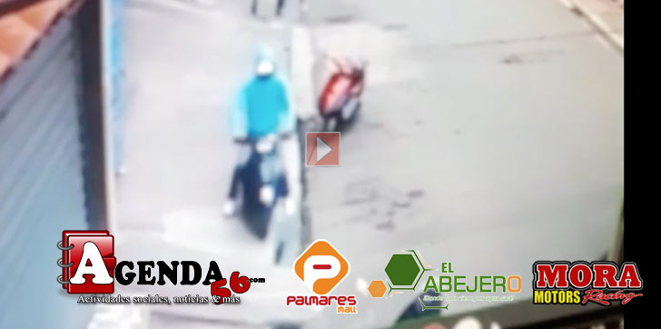 Robo-pasola