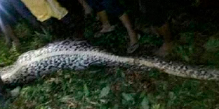 una-picon-se-come-una-mujer