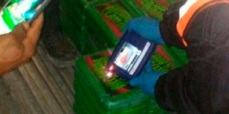 DNCD-ocupa-120-paquetes