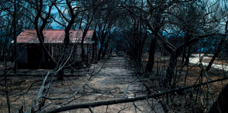 aumenta-a-91-los-muertos