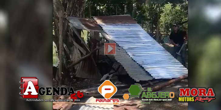Desmantelado-Guaranas