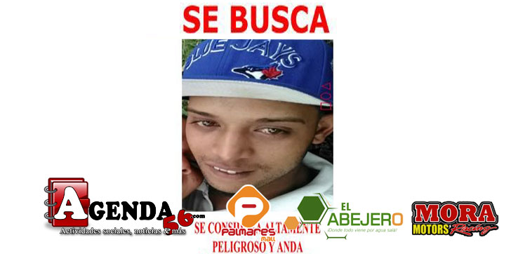 PN-BUSCA1