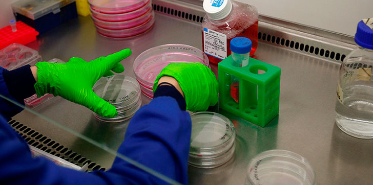 desarrollan-un-farmaco