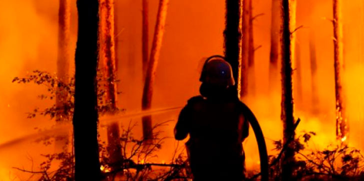 incendio-forestal
