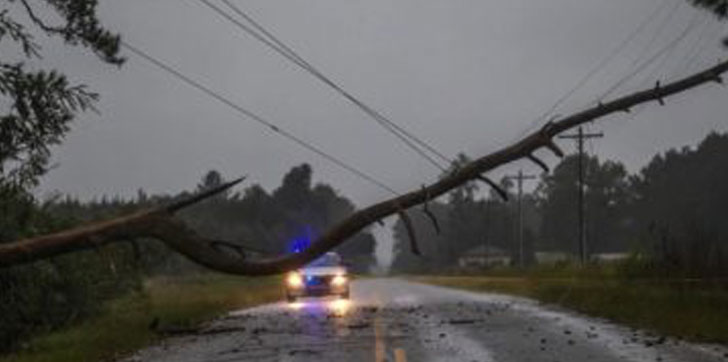 Electricidad-florence