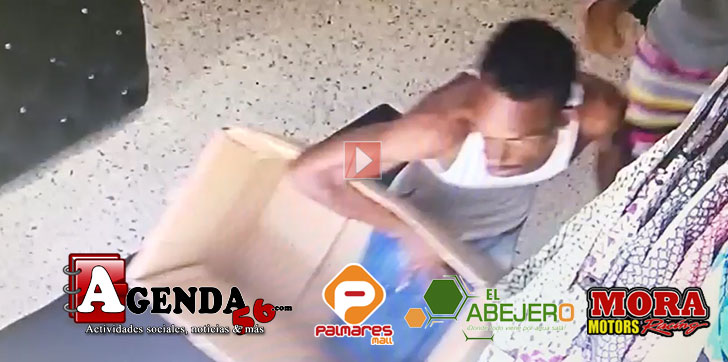 Ladron-caja