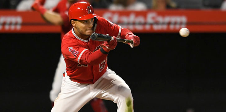 Tigres-anuncian-dos-importados