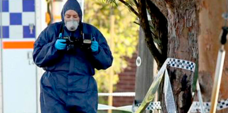 hallan-al-menos-cinco-muertos