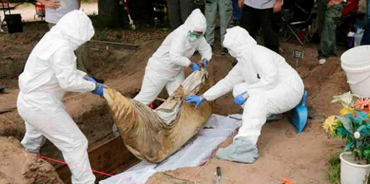 Clandestinas-en-el-estado