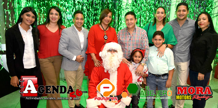 Navidad-Palmares