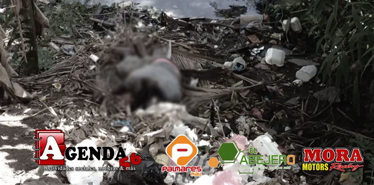 HAITIANO-ULTIMADO-SMP