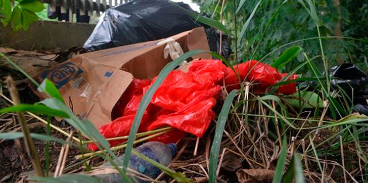 vih-piernas-humannas