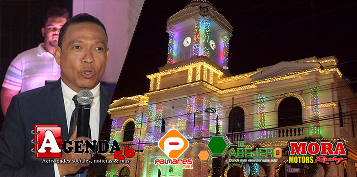 ayuntamiento-arbolito