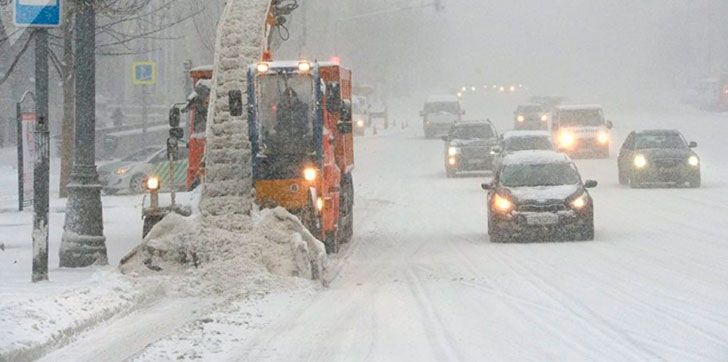 moscu-soporta-una-mayores